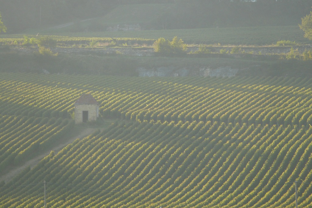 Montagny