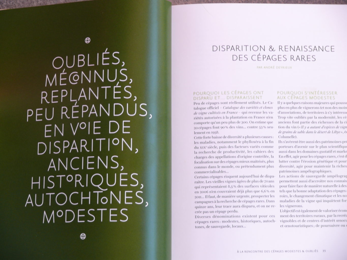 cépages oubliés