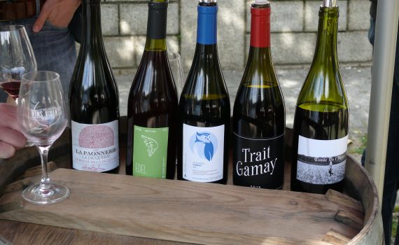 vins d'Ancenis