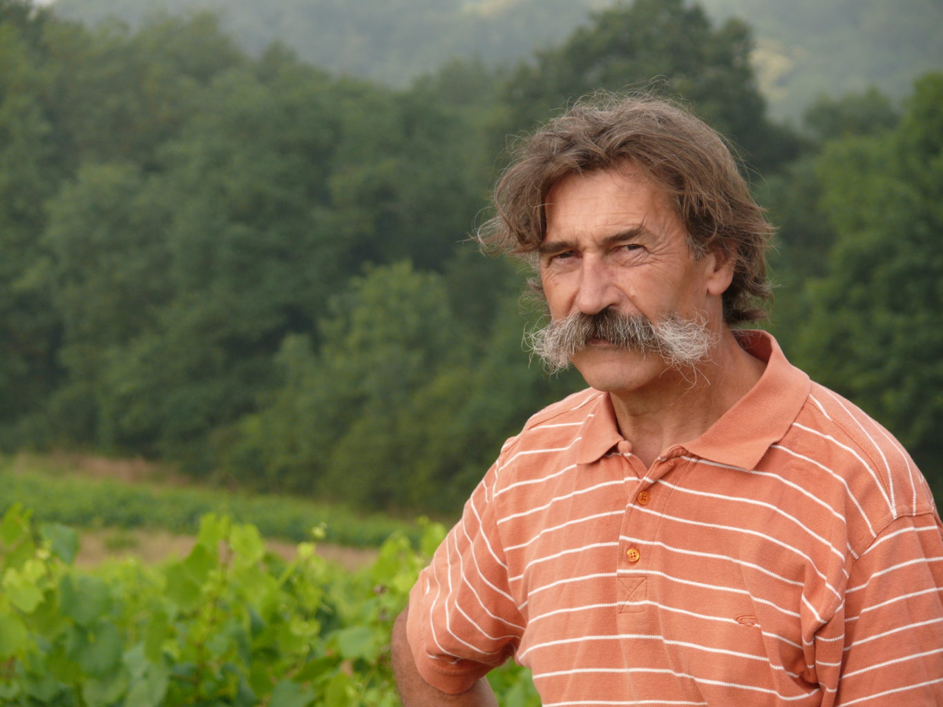 portraits of winemakers