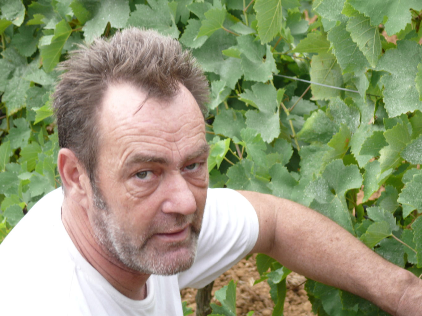 Paroles de vignerons Mas Coutelou