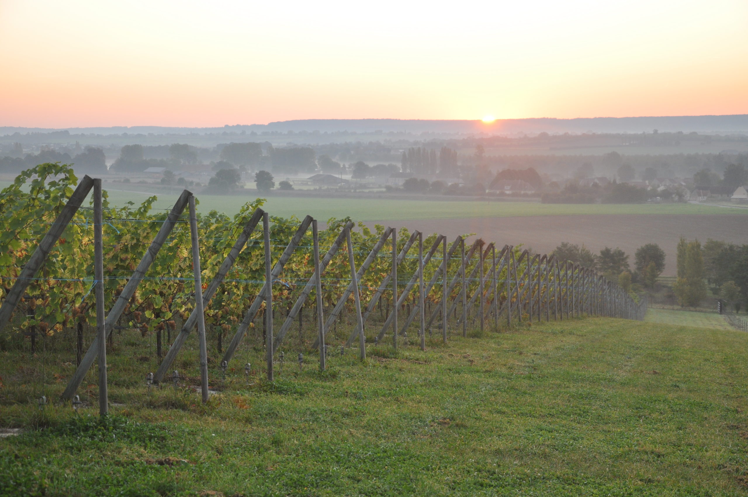 vin normandie arpents soleil