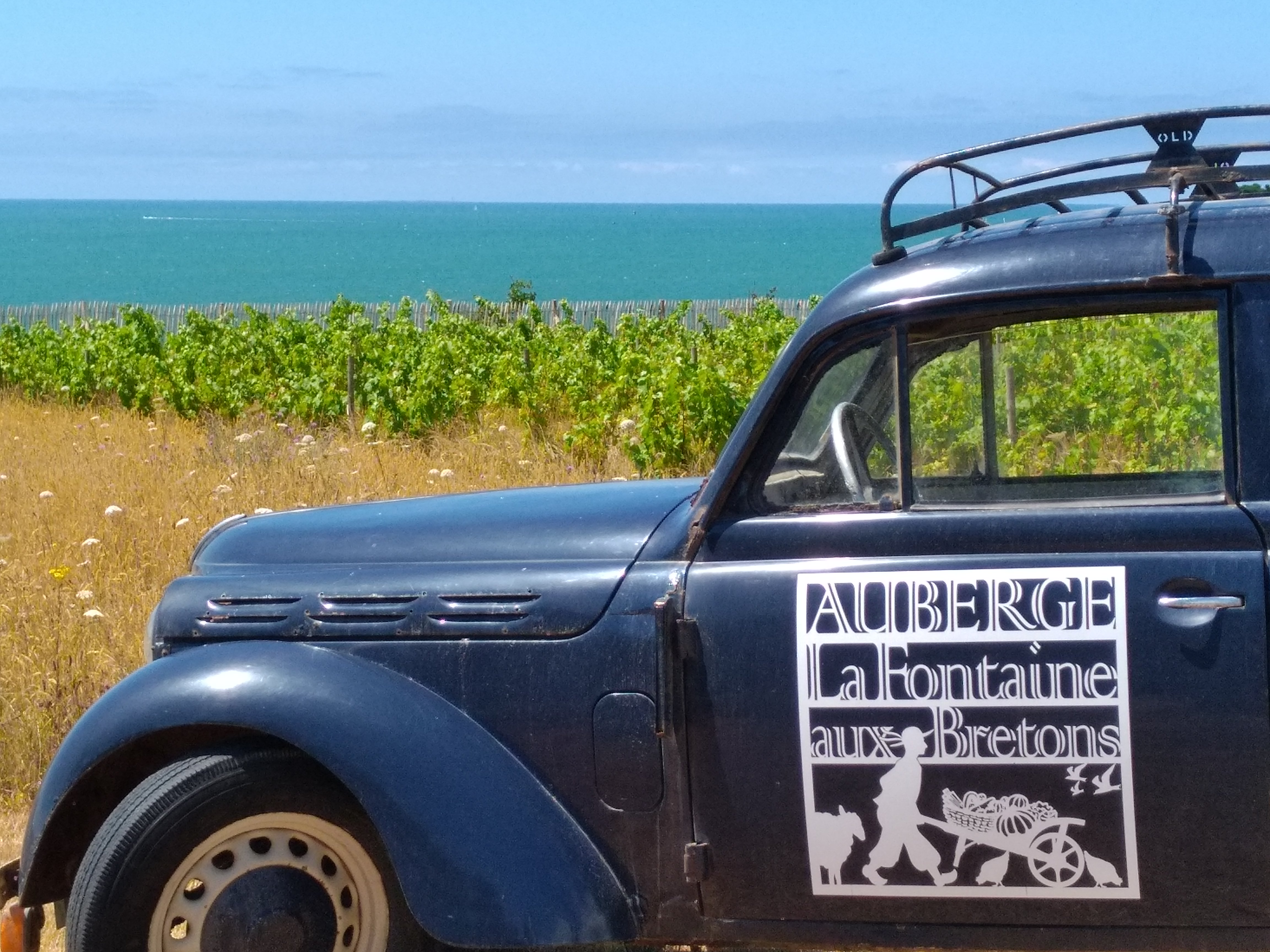 vignoble en bord de mer