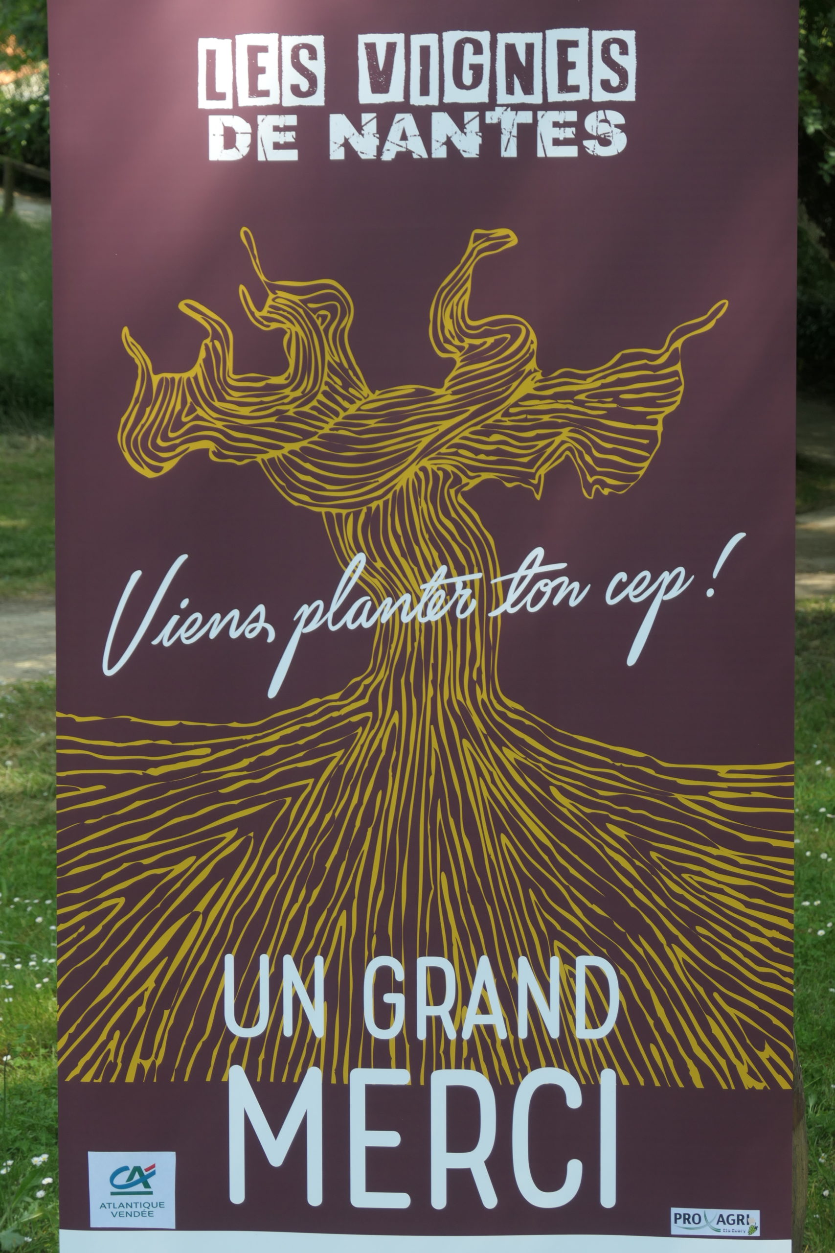 Viens Planter Ton Cep